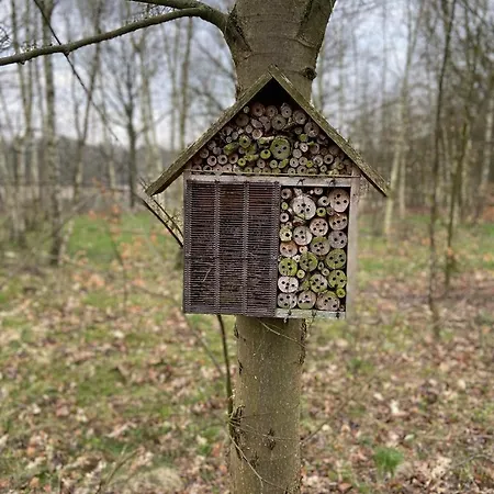 شقة فندقية Lawendowa Przystan *