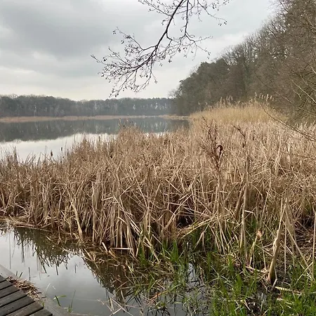 Lawendowa Przystań Wieleń *