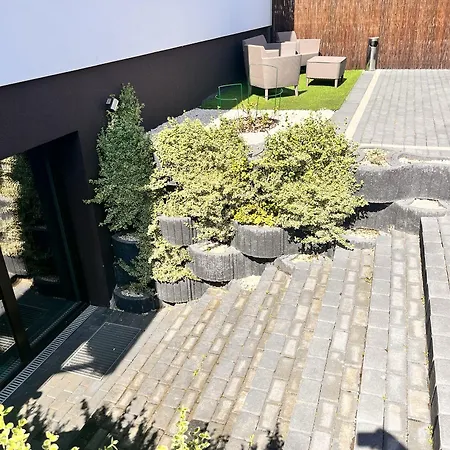 Lawendowa Przystan * Wielen Zaobrzanski