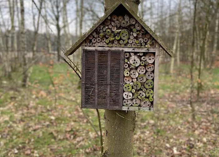Accommodatie bij particulieren Lawendowa Przystan *
