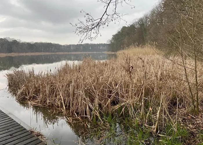 Lawendowa Przystan *