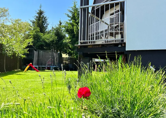 Lawendowa Przystan *