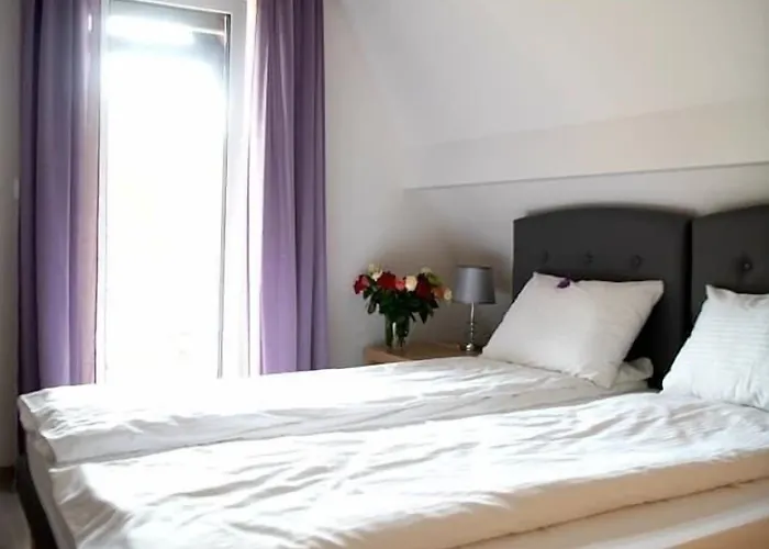 Lawendowa Przystan *